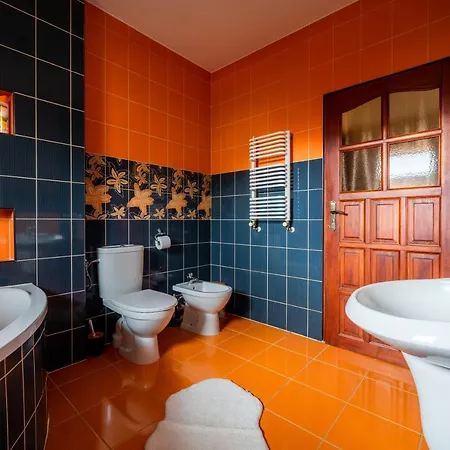 公寓 Konda Bialka Tatrzanska